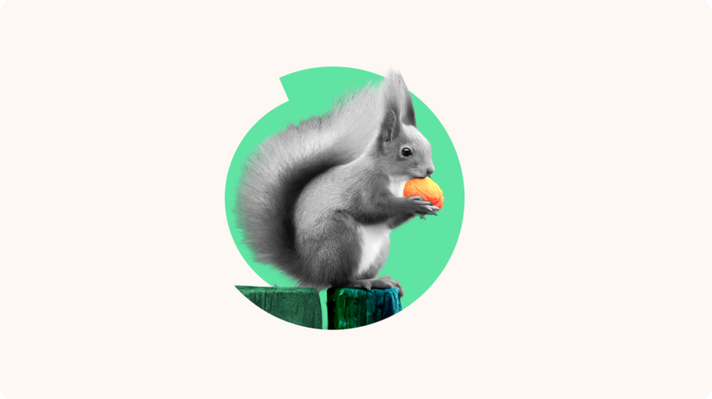 Top logiciels de quiz en ligne interactif