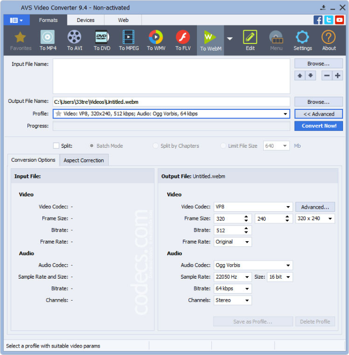 Meilleur convertisseur vidéo : AVS Media Converter